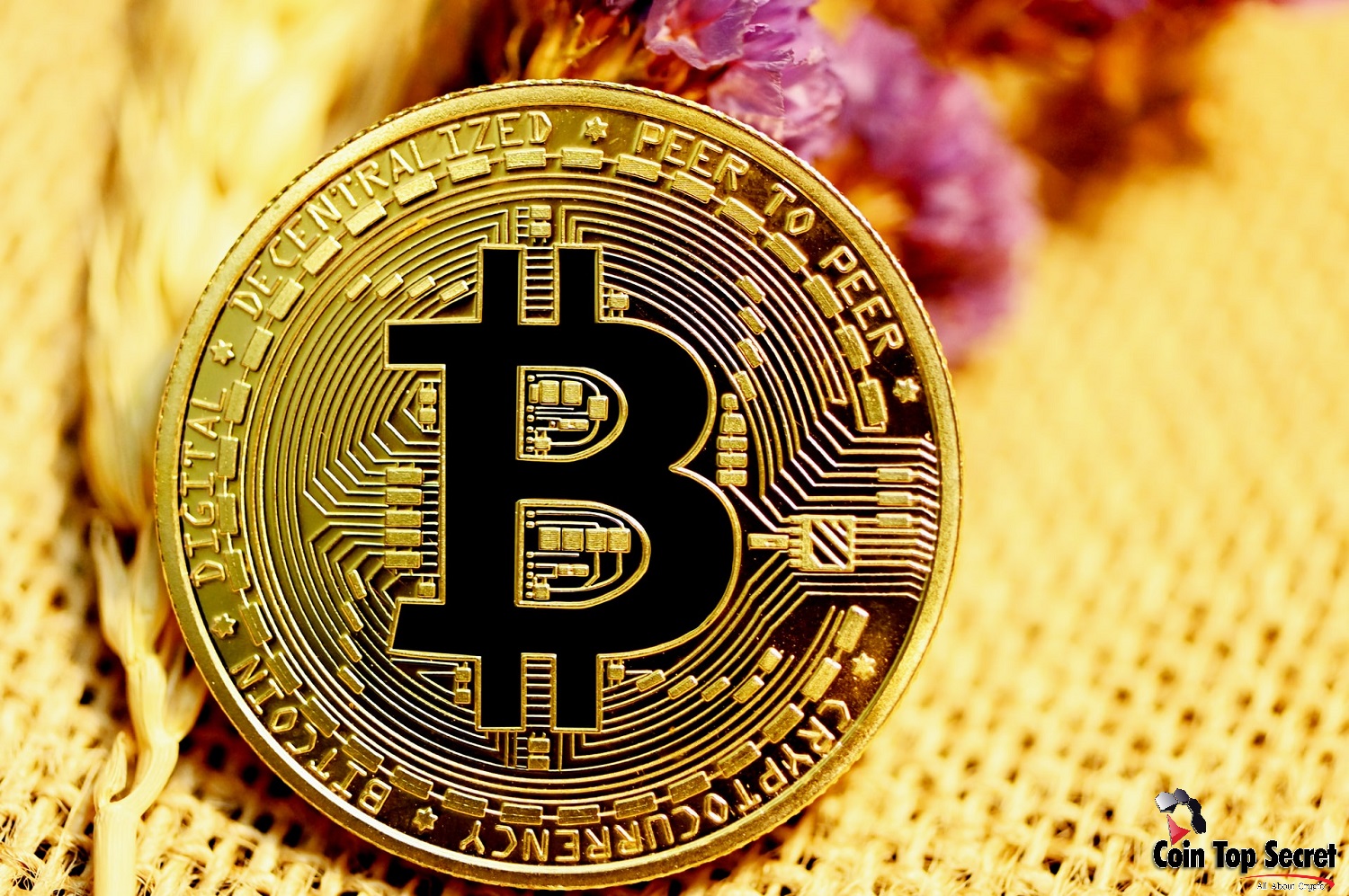 Bitcoin Price Will Not Reach $ 98 K By The End Of November