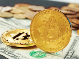 beginners crypto trading, coinbase for beginners, coinbase beginners, crypto get started, starting a crypto coin, learn about nfts crypto, best starter crypto, beginners guide to buying cryptocurrency, investing crypto for beginners, best way to start crypto trading, get started crypto, best way to start trading crypto, start buying crypto