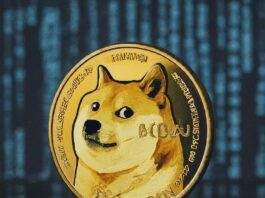 Dogecoin, memecoin, cryptocurrency, investment, trading, dogecoin price, dogecoin community, dogecoin wallet, dogecoin news, dogecoin xpayments, social media influence, dogecoin future, dogecoin value, dogecoin technical analysis, dogecoin faq, dogecoin for beginners, high-risk investment, speculative investment, long-term investment, short-term investment, technical indicators, support levels, social media sentiment, entry points, risk tolerance, due diligence, cryptocurrency exchange, retail investment platform, cryptocurrency market, investment strategy, financial planning, digital currency