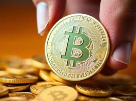 How To Make Money While Holding Bitcoin