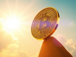 Why Bitcoin Is Going HIGHER This Year